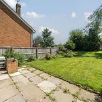 Rent 3 bedroom house in Winchester