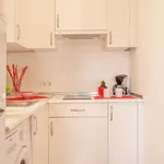 Rent 1 bedroom apartment in madrid