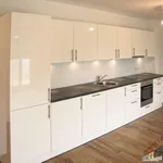 Rent 3 bedroom apartment of 69 m² in Vienna