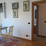 Rent 3 bedroom apartment of 72 m² in Roma