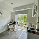 Rent 1 bedroom apartment in Southampton