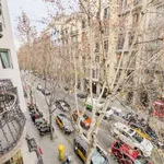 Rent a room in barcelona