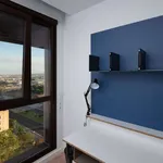 Rent 1 bedroom apartment in malaga