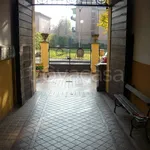 Rent 2 bedroom apartment of 55 m² in Cremona