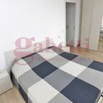 Rent 2 bedroom apartment of 73 m² in Gallarate