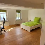 Rent 5 bedroom apartment of 161 m² in Schöneck