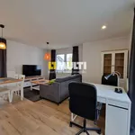 Rent 3 bedroom apartment of 55 m² in SZCZECIN