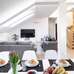 Rent 4 bedroom apartment of 150 m² in Prague