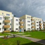 Rent 2 bedroom apartment of 71 m² in Gallneukirchen