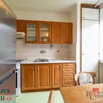 Pronajměte si 2 ložnic/e byt o rozloze 55 m² v Prague