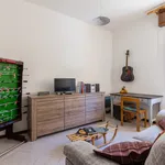 Rent 1 bedroom apartment of 65 m² in Bologna