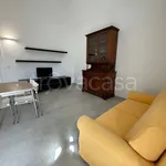 Rent 3 bedroom apartment of 55 m² in Molfetta