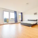 Pronajměte si 3 ložnic/e byt o rozloze 120 m² v Prague