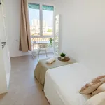 Rent 5 bedroom apartment in Valencia