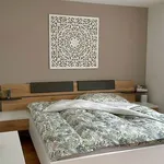 Rent 5 bedroom house in Zurich