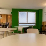 Rent 1 bedroom apartment in granada