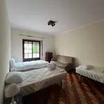 Alugar 5 quarto apartamento em Coimbra