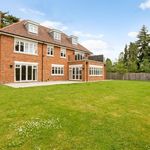 Rent 6 bedroom house in South East England