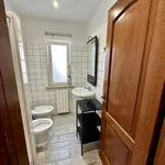 Rent 1 bedroom apartment in Rome