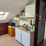 Rent 1 bedroom apartment in Milan