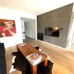 Rent 1 bedroom apartment in Antwerpen