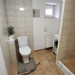 Rent 1 bedroom apartment in Plzeň