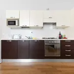 Rent 1 bedroom apartment of 65 m² in bologna