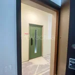 Rent 3 bedroom apartment of 120 m² in Milano