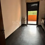 Rent 4 bedroom apartment of 150 m² in Vedano al Lambro