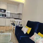 Rent 1 bedroom apartment of 48 m² in madrid