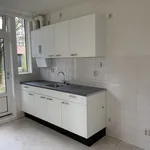 Rent 3 bedroom apartment of 80 m² in Amsterdam