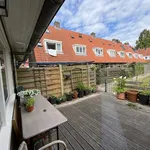 Rent 3 bedroom apartment of 50 m² in Tuindorp Nieuwendam