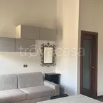 Rent 1 bedroom apartment of 35 m² in Vicenza