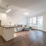 Rent 2 bedroom apartment of 50 m² in Praha 10 - Hostivař