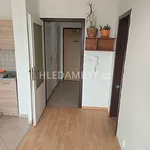 Rent 1 bedroom apartment of 29 m² in Capital City of Prague