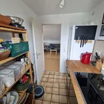 Rent 1 bedroom apartment of 55 m² in Leverkusen