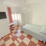 Rent 4 bedroom apartment in Seville