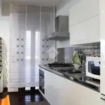 Rent 3 bedroom apartment of 100 m² in Roma