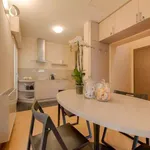 Rent 1 bedroom apartment of 50 m² in bologna