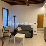 Rent 3 bedroom house of 120 m² in Siena