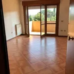 Rent 2 bedroom apartment of 56 m² in Roma