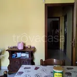 Rent 3 bedroom apartment of 75 m² in Savigliano