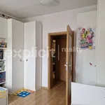 Rent 3 bedroom apartment of 73 m² in Zlín