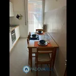 Rent 2 bedroom apartment of 85 m² in Padova