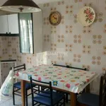 Rent 4 bedroom apartment of 100 m² in Catania