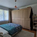 Huur 3 slaapkamer huis van 716 m² in HUIZINGEN