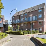 Rent 4 bedroom apartment in Rijpelplein