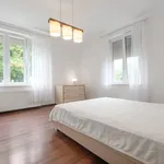 Rent 3 bedroom apartment of 75 m² in Szczecin