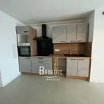 Rent 3 bedroom apartment of 62 m² in L'Hôpital