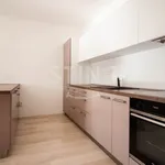 Pronajměte si 1 ložnic/e byt o rozloze 52 m² v Jihlava